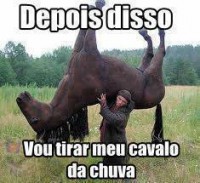/album/rindo-no-maximo/depois-disso-vou-tirar-meu-cavalo-da-chuva-jpg/
